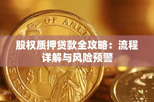 北京股权质押贷款全攻略：流程详解与风险预警