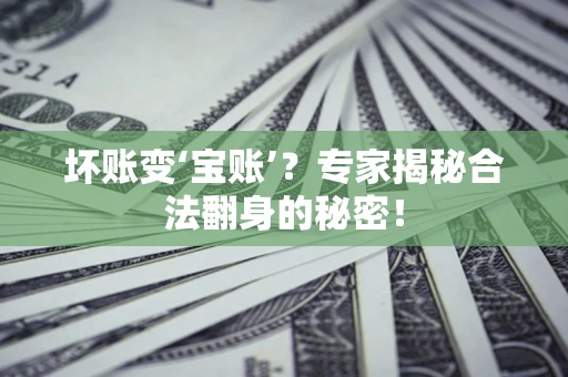 北京坏账变‘宝账’？专家揭秘合法翻身的秘密！