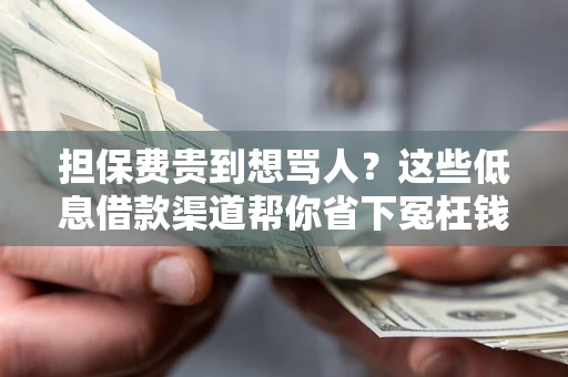 北京担保费贵到想骂人？这些低息借款渠道帮你省下冤枉钱