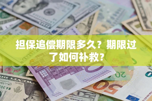 北京担保追偿期限多久？期限过了如何补救？