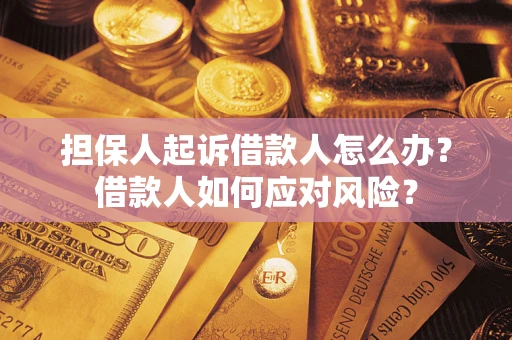 北京担保人起诉借款人怎么办？借款人如何应对风险？