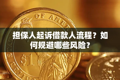 北京担保人起诉借款人流程？如何规避哪些风险？