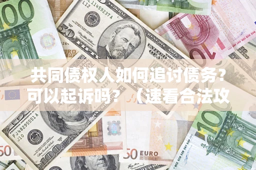 北京共同债权人如何追讨债务？可以起诉吗？（速看合法攻略）