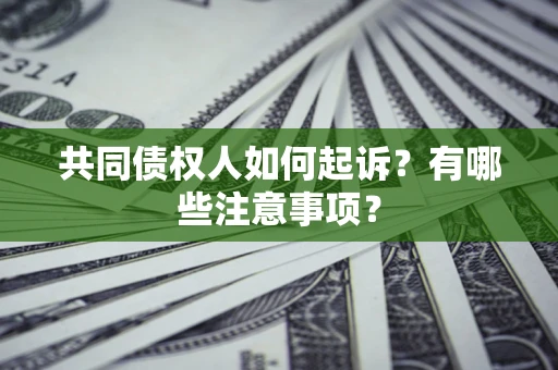 北京共同债权人如何起诉？有哪些注意事项？